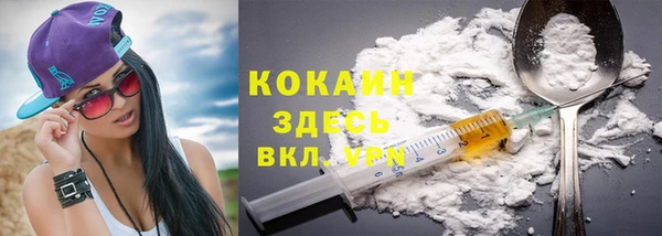 индика Алексин