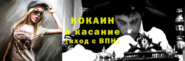 индика Алексин