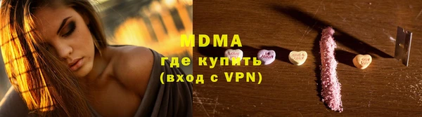 индика Алексин
