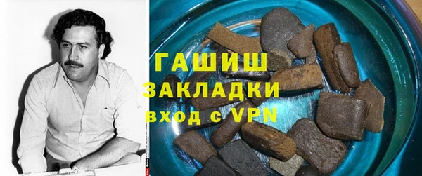 индика Алексин