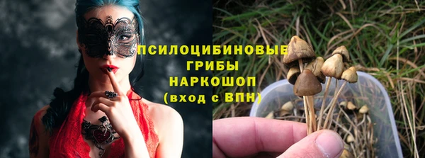 амф Алзамай